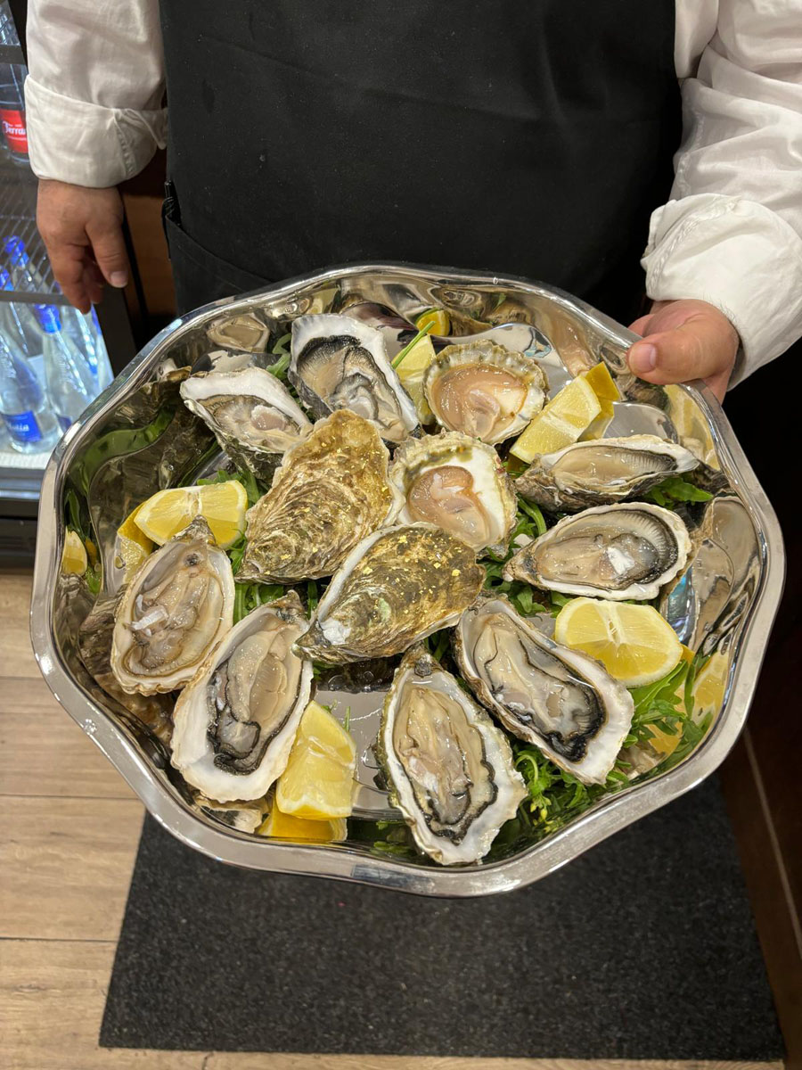 Ostrica Mediterranea